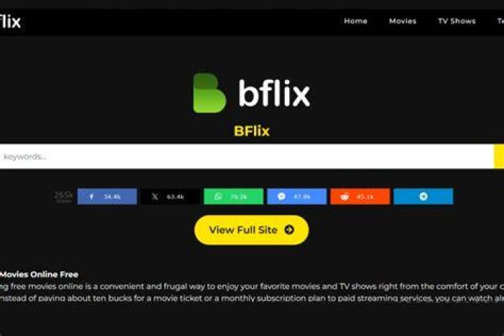 bflix: Stream Movies and Shows Online in Your Browser