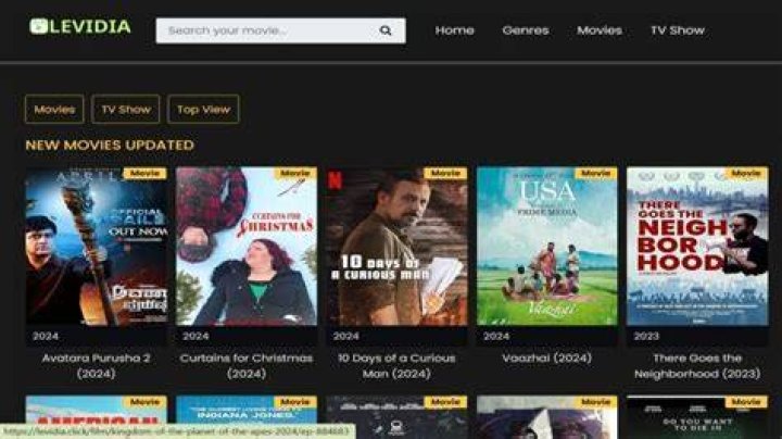 Search flow on levidia.ch