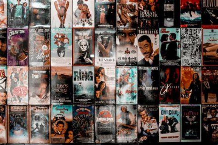 Browsing movie catalogs with genres and curated collections