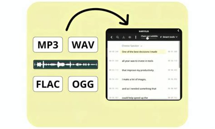 Video player controls for subtitles and audio