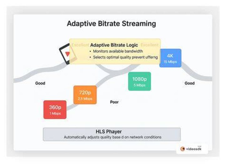 Video quality settings and buffering for streaming playback